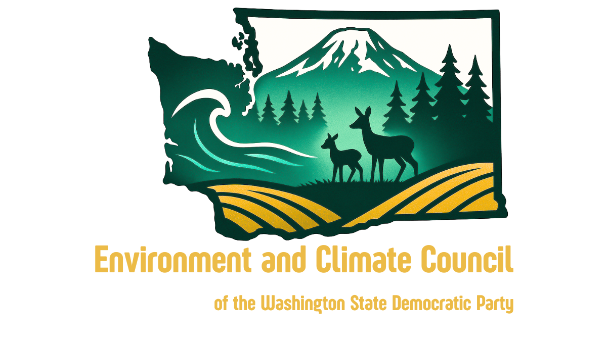 Want to be in the room where it happens? Join our Executive Board!